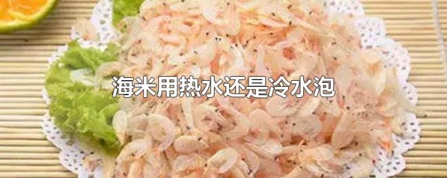 海米用热水还是冷水泡 海米用热水还是冷水泡
