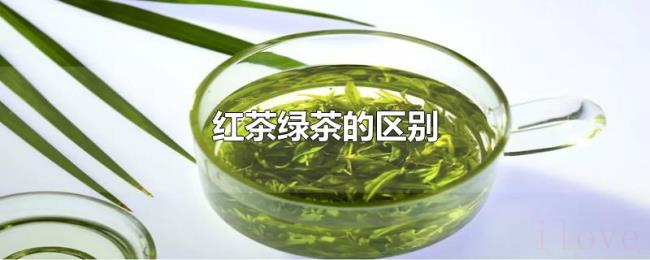 红茶绿茶的区别 红茶绿茶的区别