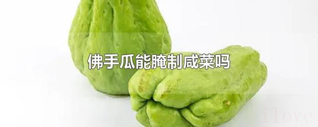 佛手瓜能腌制咸菜吗