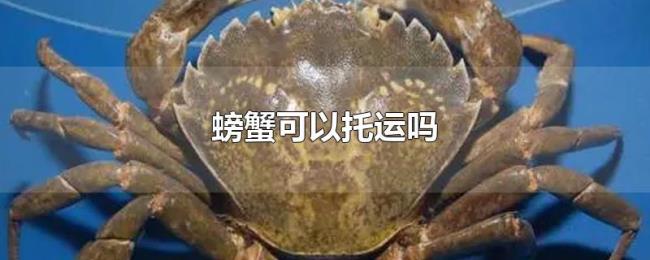 螃蟹可以托运吗