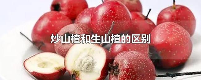 炒山楂和生山楂的区别