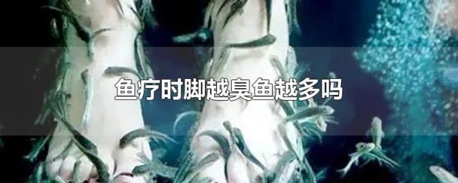鱼疗时脚越臭鱼越多吗 鱼疗时脚越臭鱼越多吗