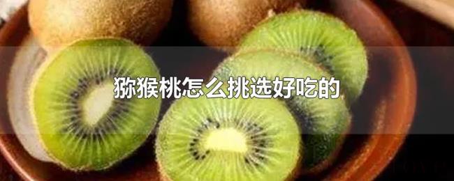 猕猴桃怎么挑选好吃的