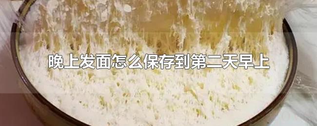 晚上发面怎么保存到第二天早上