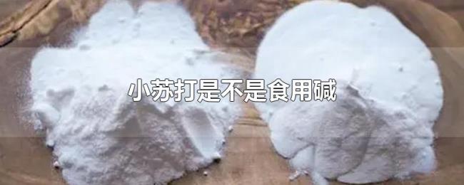 小苏打是不是食用碱 小苏打是不是食用碱