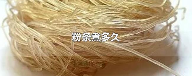 粉条煮多久 粉条煮多久