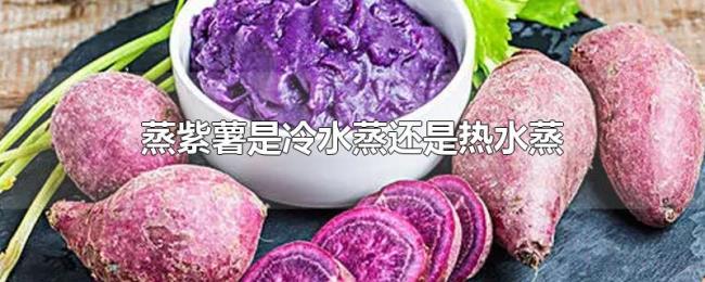 蒸紫薯是冷水蒸还是热水蒸 蒸紫薯是冷水蒸还是热水蒸