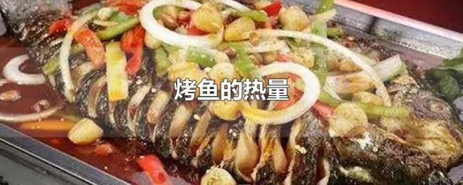 烤鱼的热量
