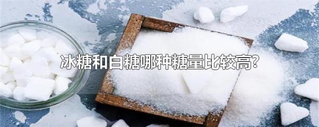 冰糖和白糖哪种糖量比较高?