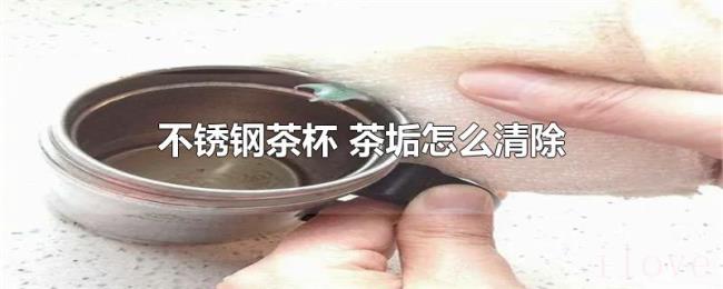 不锈钢茶杯（茶垢怎么清除）
