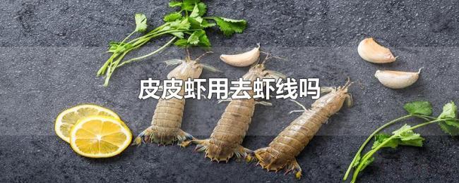 皮皮虾用去虾线吗 皮皮虾用去虾线吗