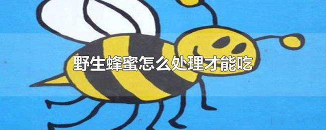 野生蜂蜜怎么处理才能吃 野生蜂蜜怎么处理才能吃