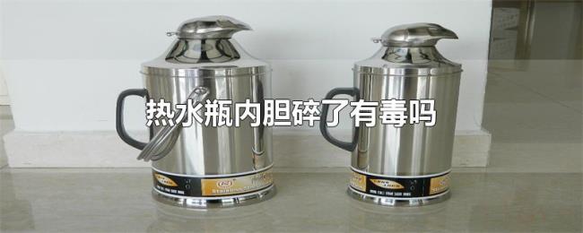 热水瓶内胆碎了有毒吗