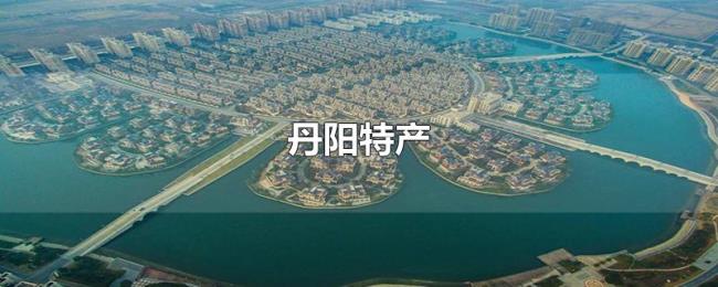 丹阳特产 丹阳特产