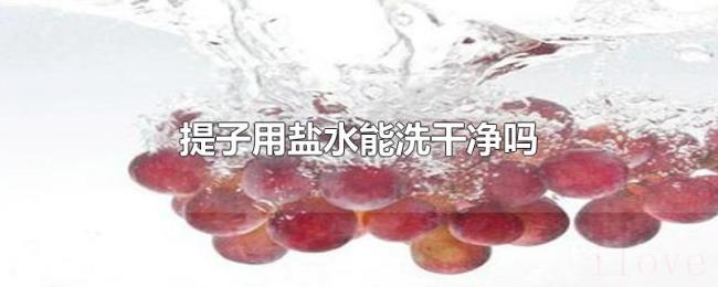 提子用盐水能洗干净吗 提子用盐水能洗干净吗