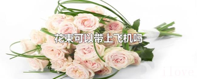 花束可以带上飞机吗