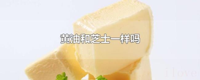 黄油和芝士一样吗