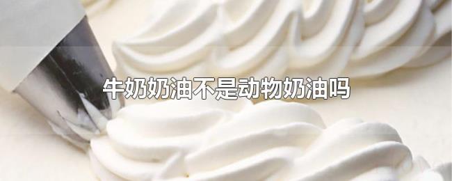 牛奶奶油不是动物奶油吗 牛奶奶油不是动物奶油吗