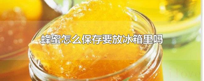 蜂蜜怎么保存要放冰箱里吗 蜂蜜怎么保存要放冰箱里吗