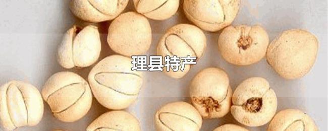 理县特产 理县特产