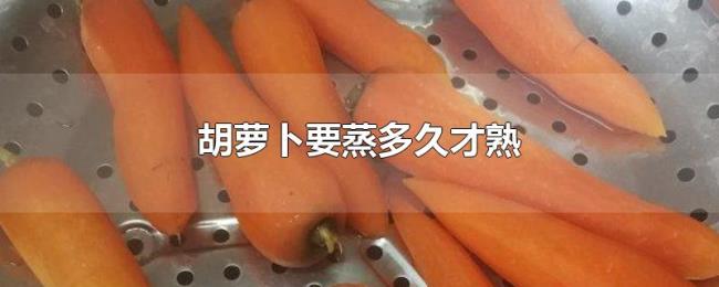 胡萝卜要蒸多久才熟 胡萝卜要蒸多久才熟