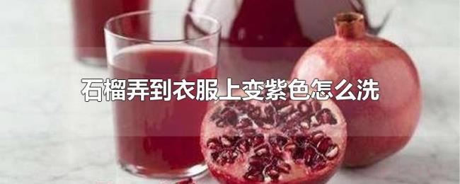 石榴弄到衣服上变紫色怎么洗 石榴弄到衣服上变紫色怎么洗