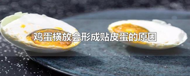 鸡蛋横放会形成贴皮蛋的原因 鸡蛋横放会形成贴皮蛋的原因