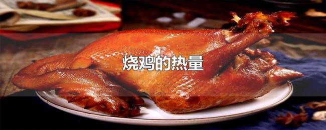烧鸡的热量