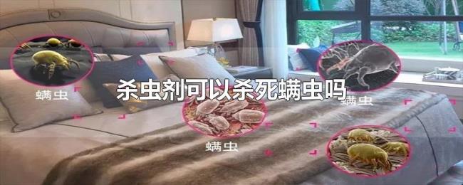 杀虫剂可以杀死螨虫吗 杀虫剂可以杀死螨虫吗