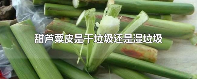 甜芦粟皮是干垃圾还是湿垃圾