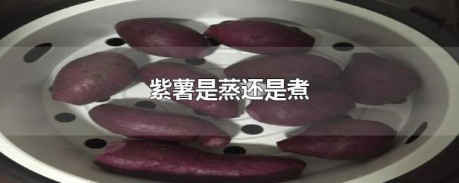 紫薯是蒸还是煮 紫薯是蒸还是煮