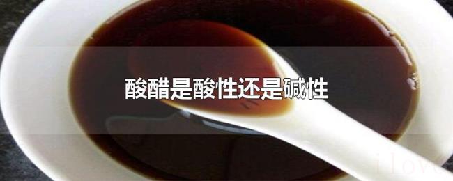 酸醋是酸性还是碱性