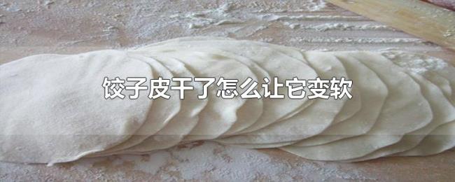 饺子皮干了怎么让它变软 饺子皮干了怎么让它变软