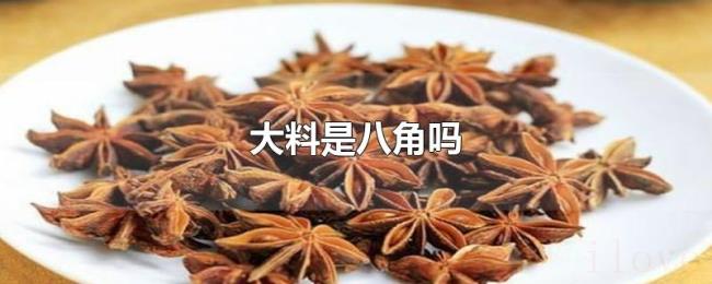 大料是八角吗 大料是八角吗