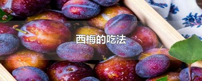 西梅的吃法 西梅的吃法