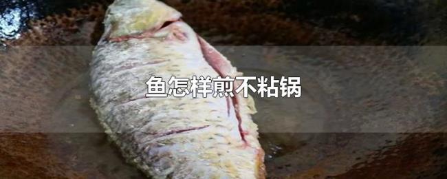 鱼怎样煎不粘锅 鱼怎样煎不粘锅