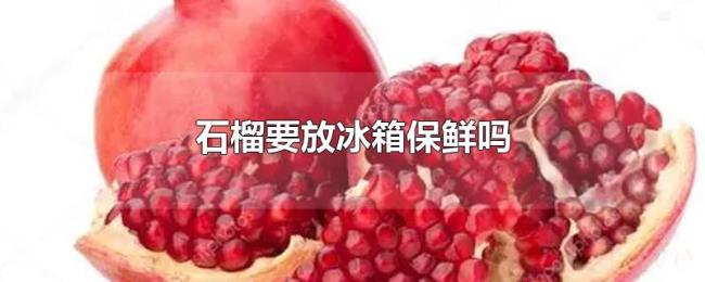 石榴要放冰箱保鲜吗 石榴要放冰箱保鲜吗