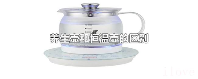 养生壶和恒温壶的区别