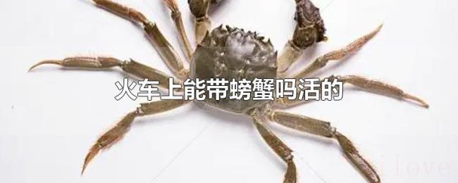 火车上能带螃蟹吗活的