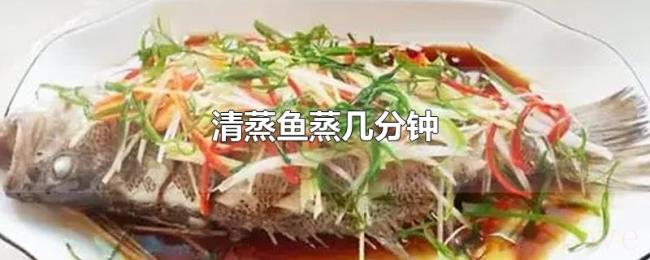 清蒸鱼蒸几分钟