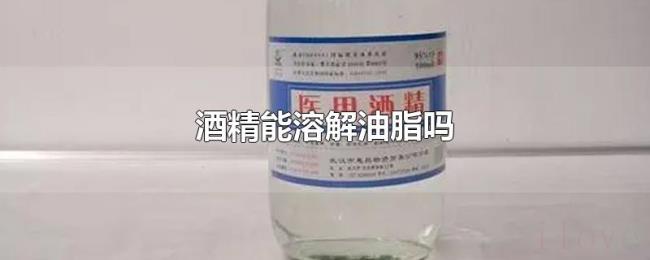 酒精能溶解油脂吗 酒精能溶解油脂吗