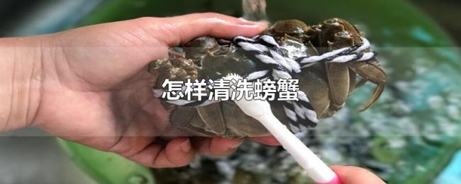 怎样清洗螃蟹
