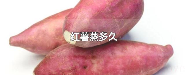 红薯蒸多久 红薯蒸多久