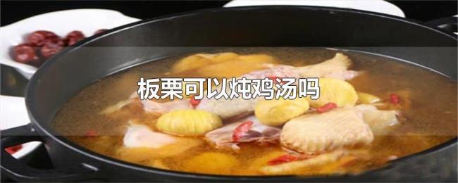 板栗可以炖鸡汤吗