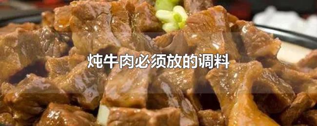 炖牛肉必须放的调料 炖牛肉必须放的调料