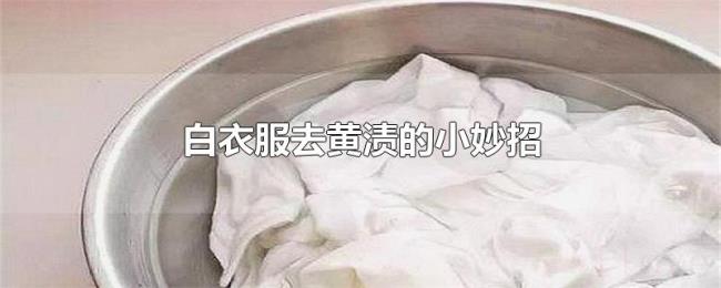 白衣服去黄渍的小妙招 白衣服去黄渍的小妙招