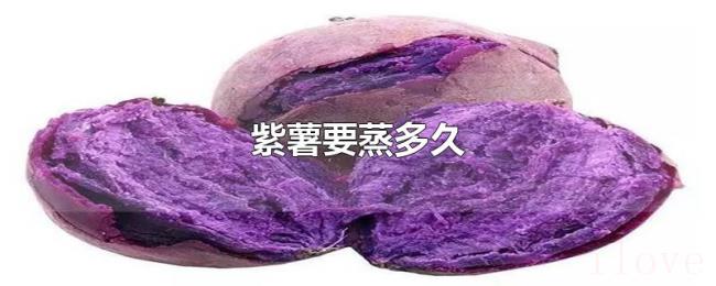 紫薯要蒸多久