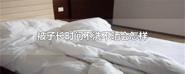 被子长时间不洗不晒会怎样 被子长时间不洗不晒会怎样