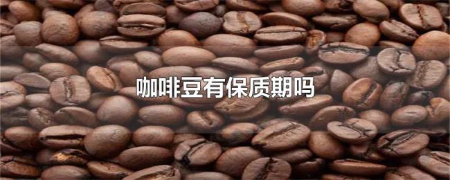 咖啡豆有保质期吗