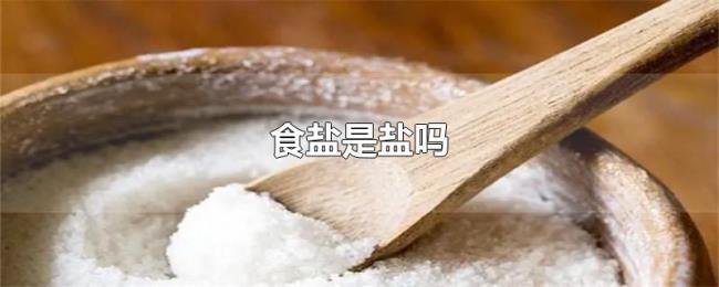 食盐是盐吗